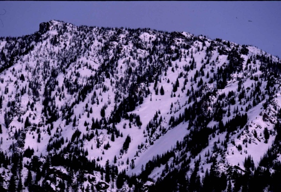 The initial backside of Downing Mountain, backcountry ski runs into Sawtooth Canyon
